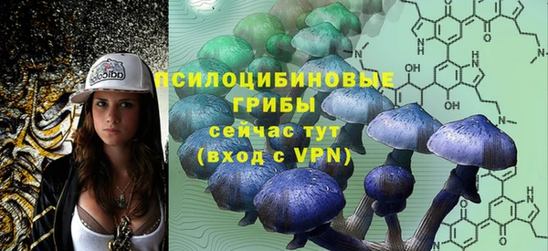 гидропоника Алексеевка