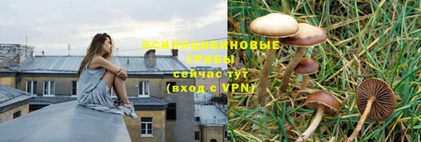 гидропоника Алексеевка